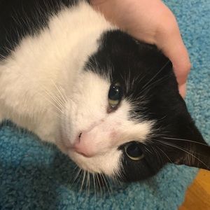 Meet your Posher, Laura